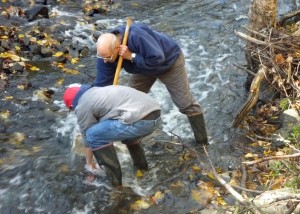 Vernon Conservation Commission's annual Tankerhoosen River Bioassessment Survey.